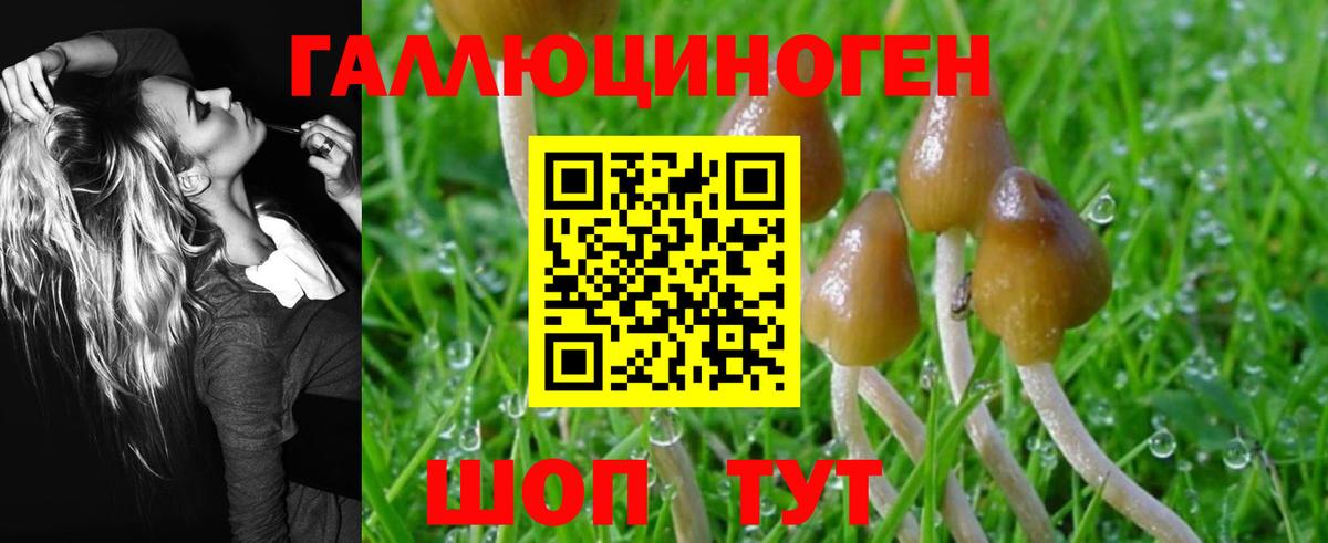 Краснодар  купить закладку  Вход с VPN  Галлюциногенные грибы MAGIC MUSHROOMS 